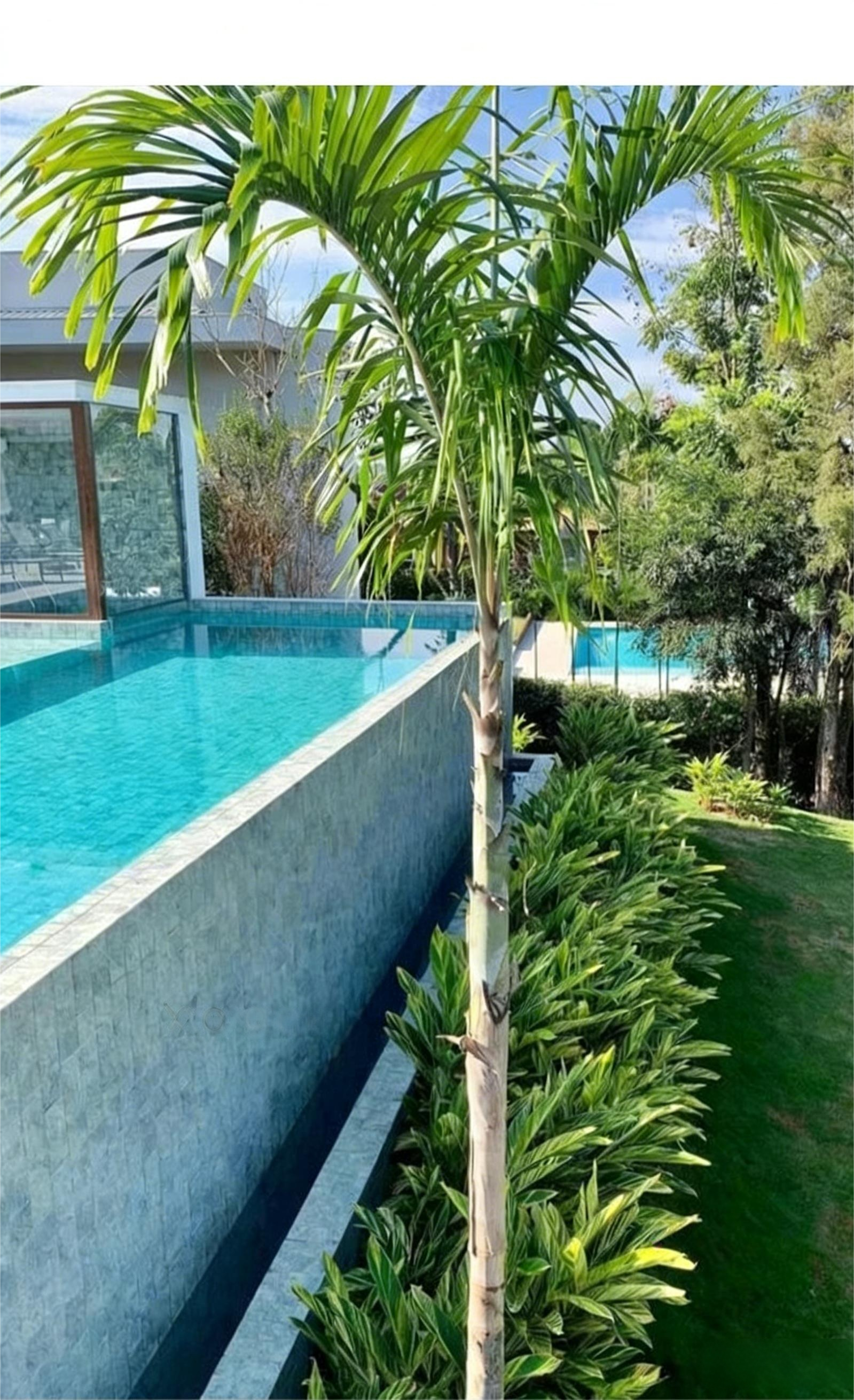Shuang Ou Naturalistic Imitation Stone Ceramic Mosaic Wabi Sabi Wind Swimming Pool Hotel Homestay Pool Landscape Pool Ceramic Tile - Tile(Small Stone) / Pool Tiles / Specialized Outdoor Tiles | CHEERFUL Kenya image 13 detail view