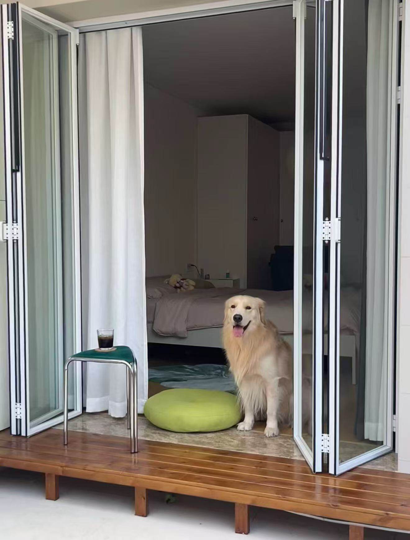 Aluminum alloy ultra-narrow folding doors and windows, open kitchen bar, bathroom partition folding doors - Door/Window | CHEERFUL Kenya image 5 detail view